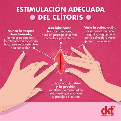 El clítoris: qué es, dónde está y cómo estimular el órgano del。